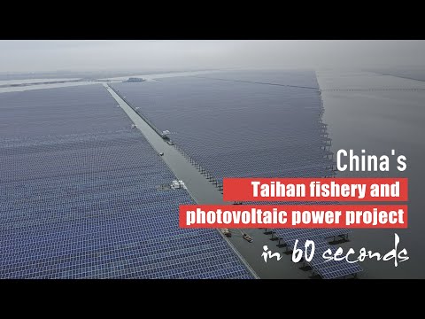 China's Taihan fishery and photovoltaic power project in 60 seconds