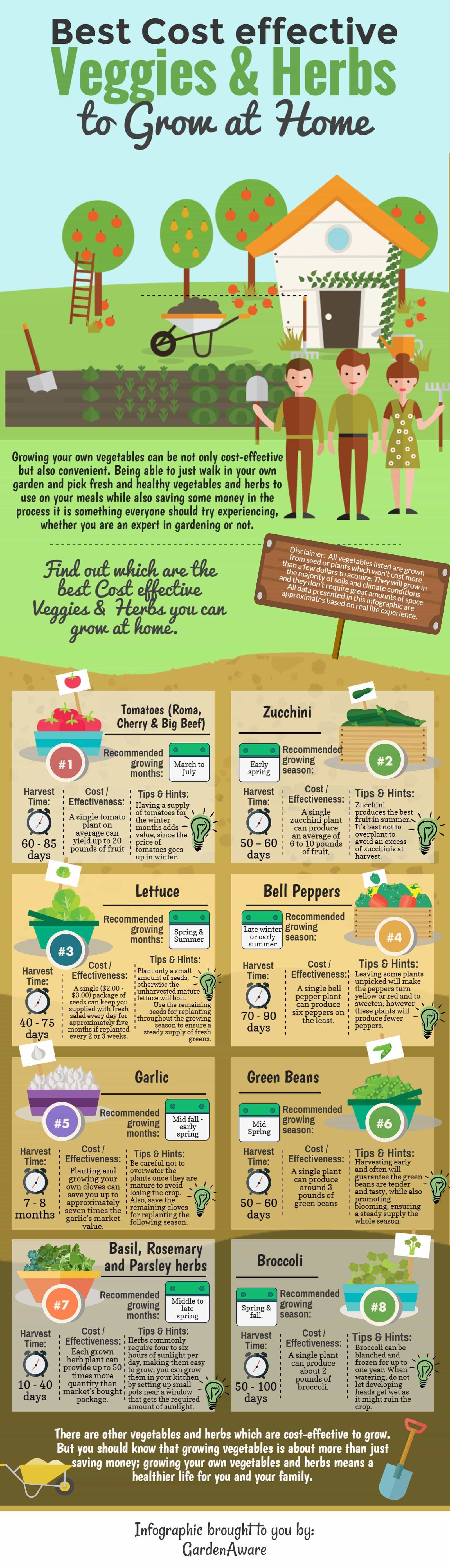 home gardening infographic
