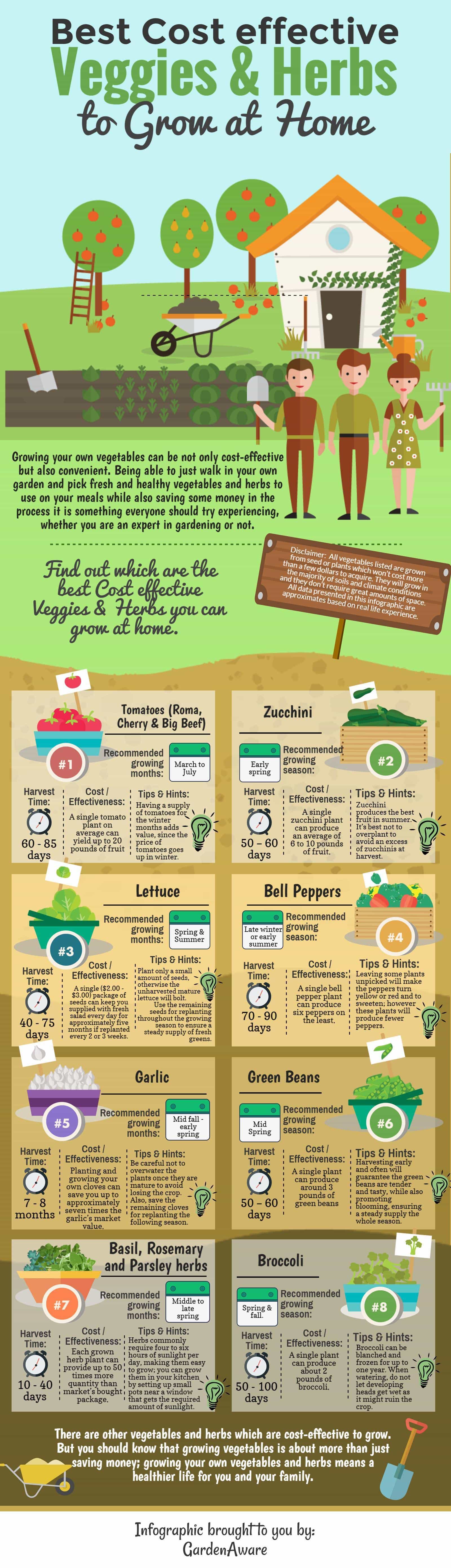 10 Reasons for Growing Your Own Food