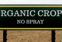 organic crops