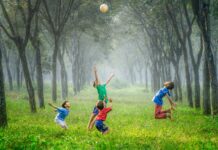 Eco-friendly summer activities for kids
