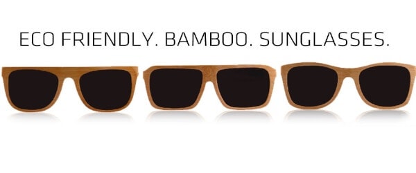 PANDA bamboo sunglasses