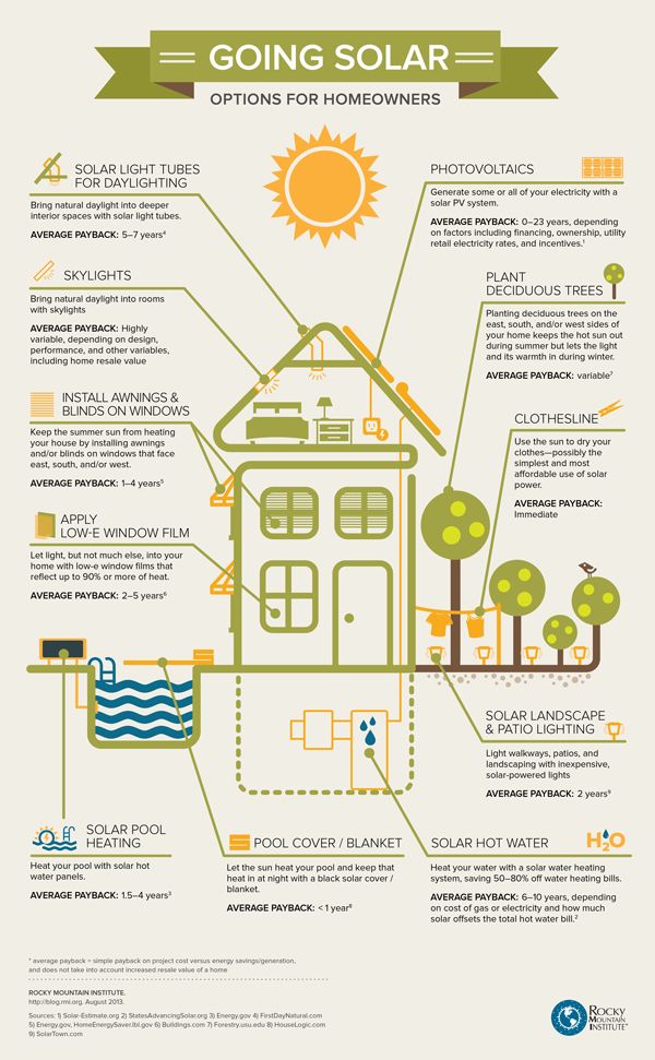 Options for homeowners to go solar infographic