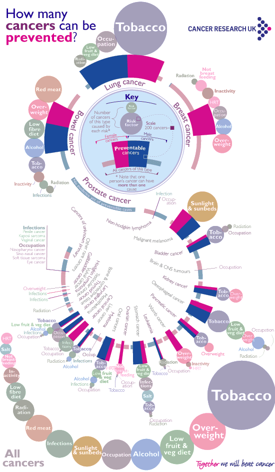 How many cancers can be prevented infographic
