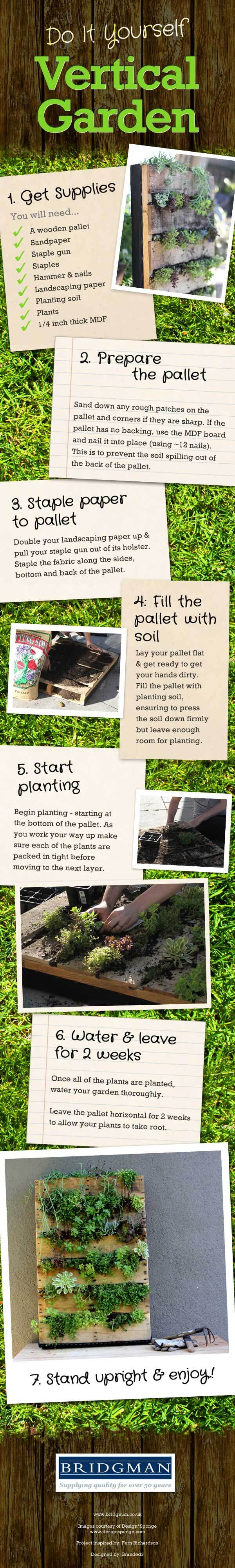 DIY vertical garden wall infographic
