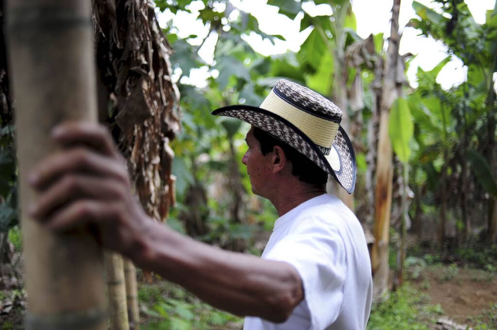 Fair Trade Coffee Farmer
