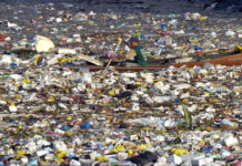 Great Pacific Garbage Patch