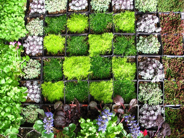 Diy Gardening How To Create A Vertical Wall Garden Greener Ideal 