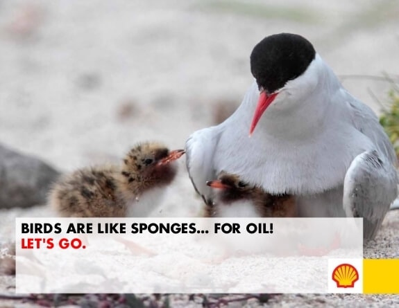 shell arctic ready