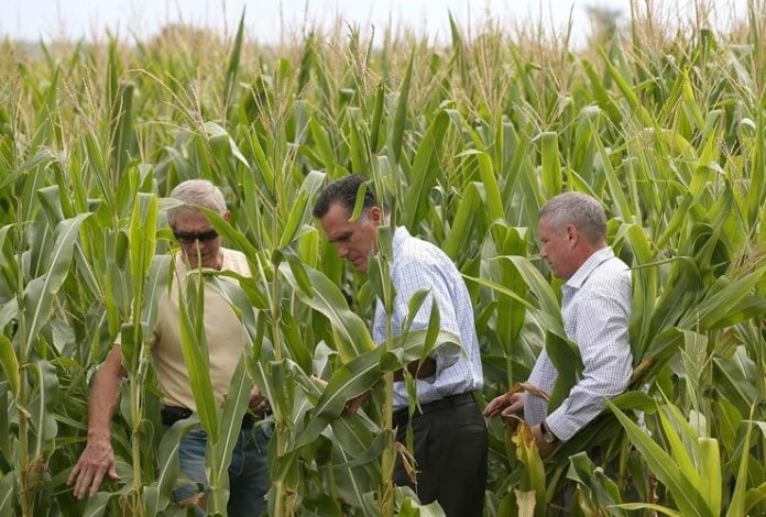 Mitt Romney and ethanol corn