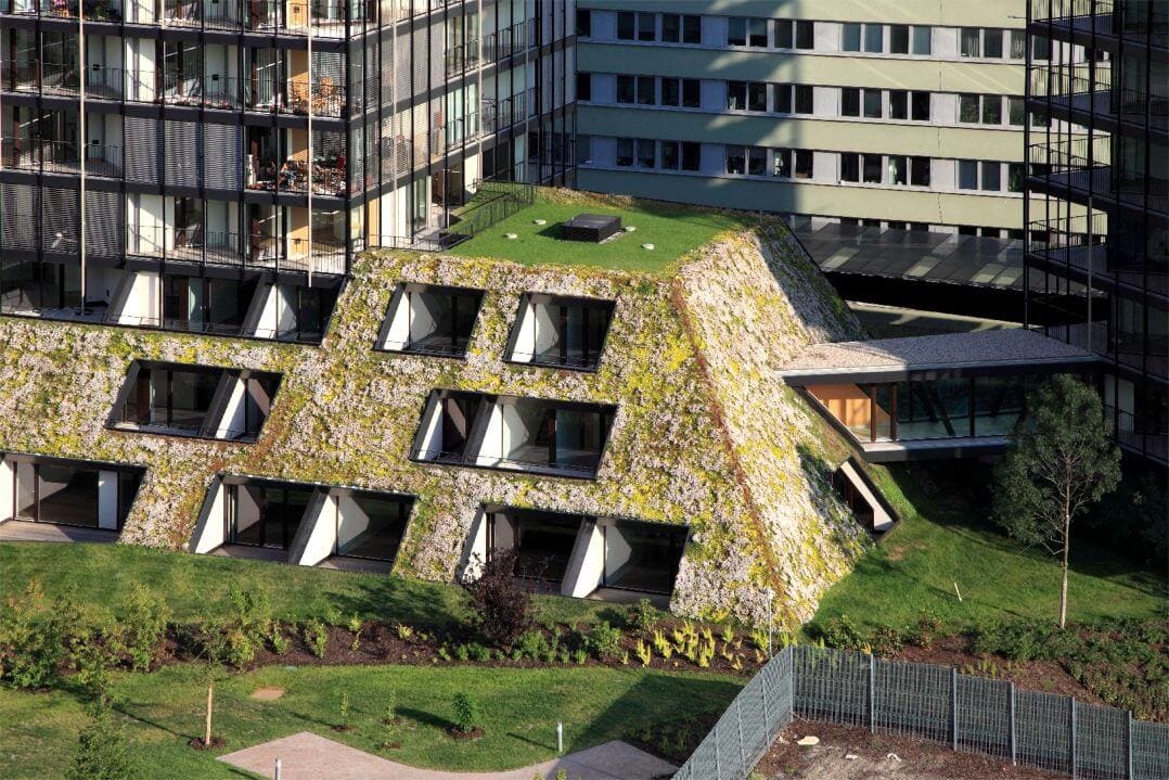 Prague’s newest eco building and its impressive green roof - Greener Ideal