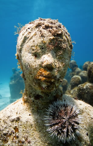 Underwater coral sculpture