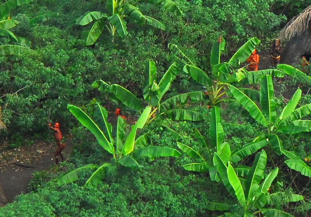 uncontacted tribe