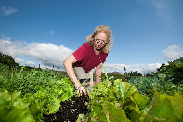 8 Simple Steps To Start Your Own Organic Garden Greener Ideal