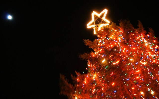 Christmas tree Christmas tree