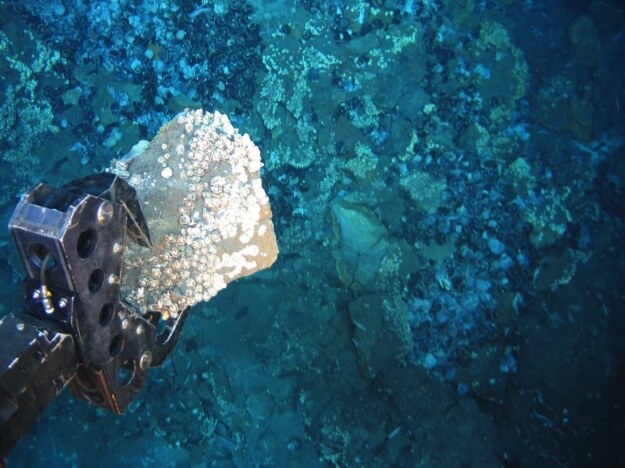 seabed mining