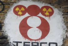 TEPCO nuclear japan
