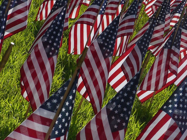 United States flags in grass
