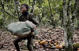 cocoa child labour