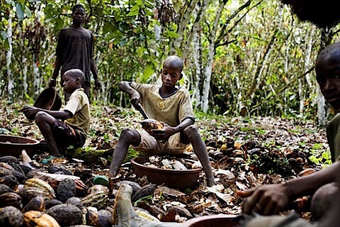 child labour for cocoa and chocolate