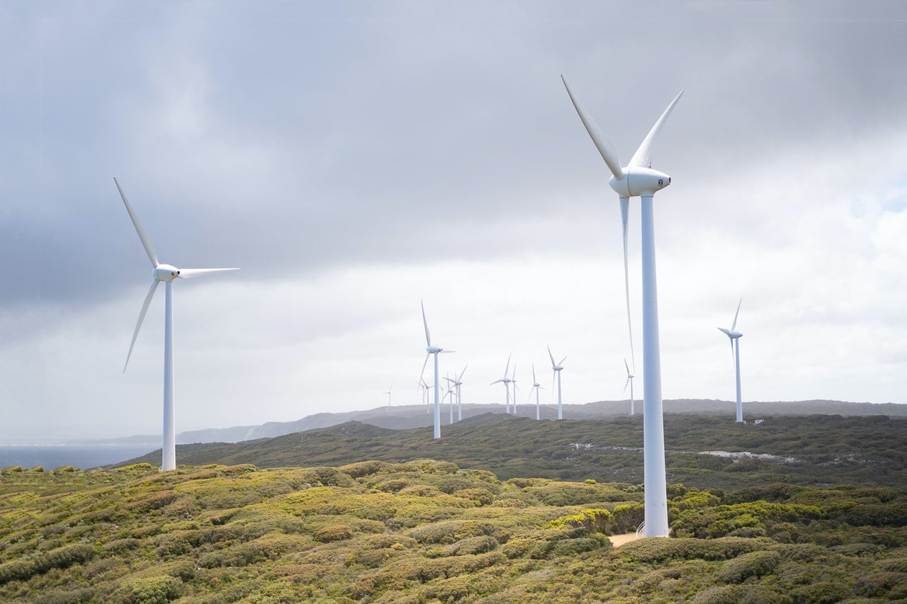 wind farm