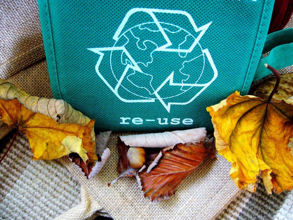 recycle reuse bag