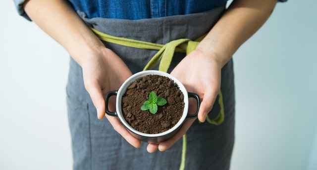 reuse old coffee grounds - garden