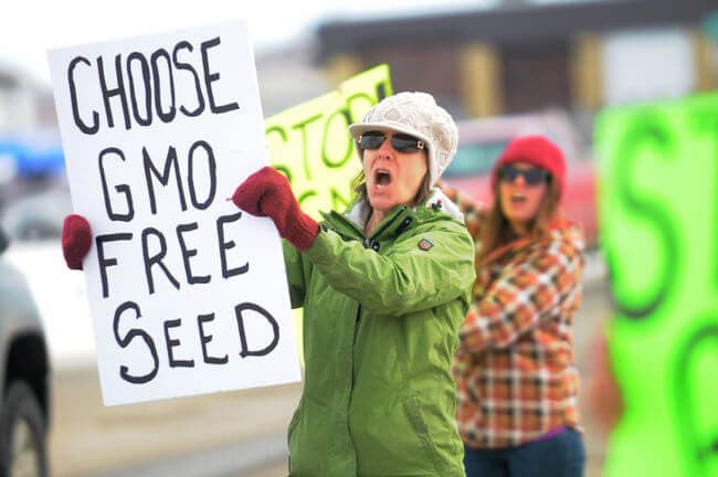 GMO free seed