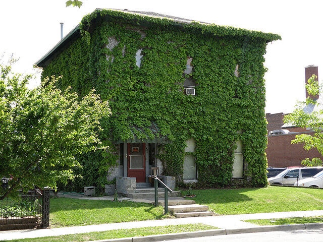 green house