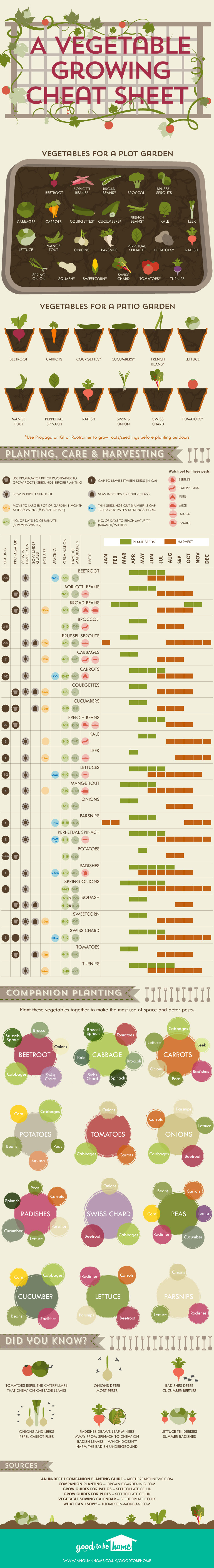 greenhouse gardener cheat sheet infographic