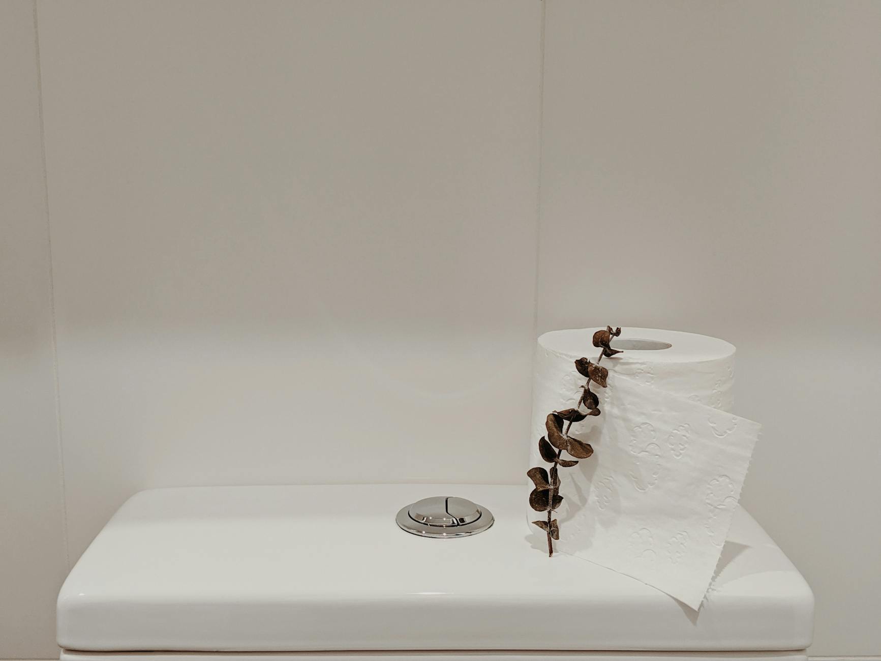 white toilet paper roll on white ceramic toilet tank