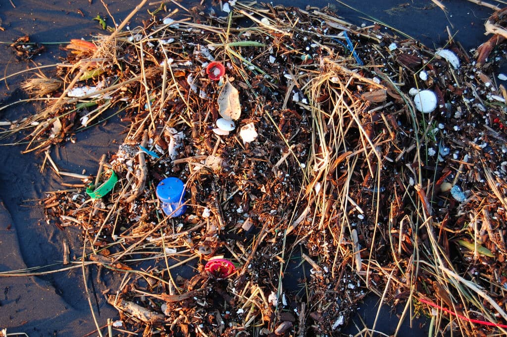plastic pollution in ocean