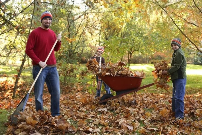 raking leaves raking leaves