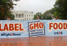 GMO Labelling
