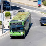 Green roof on a bus