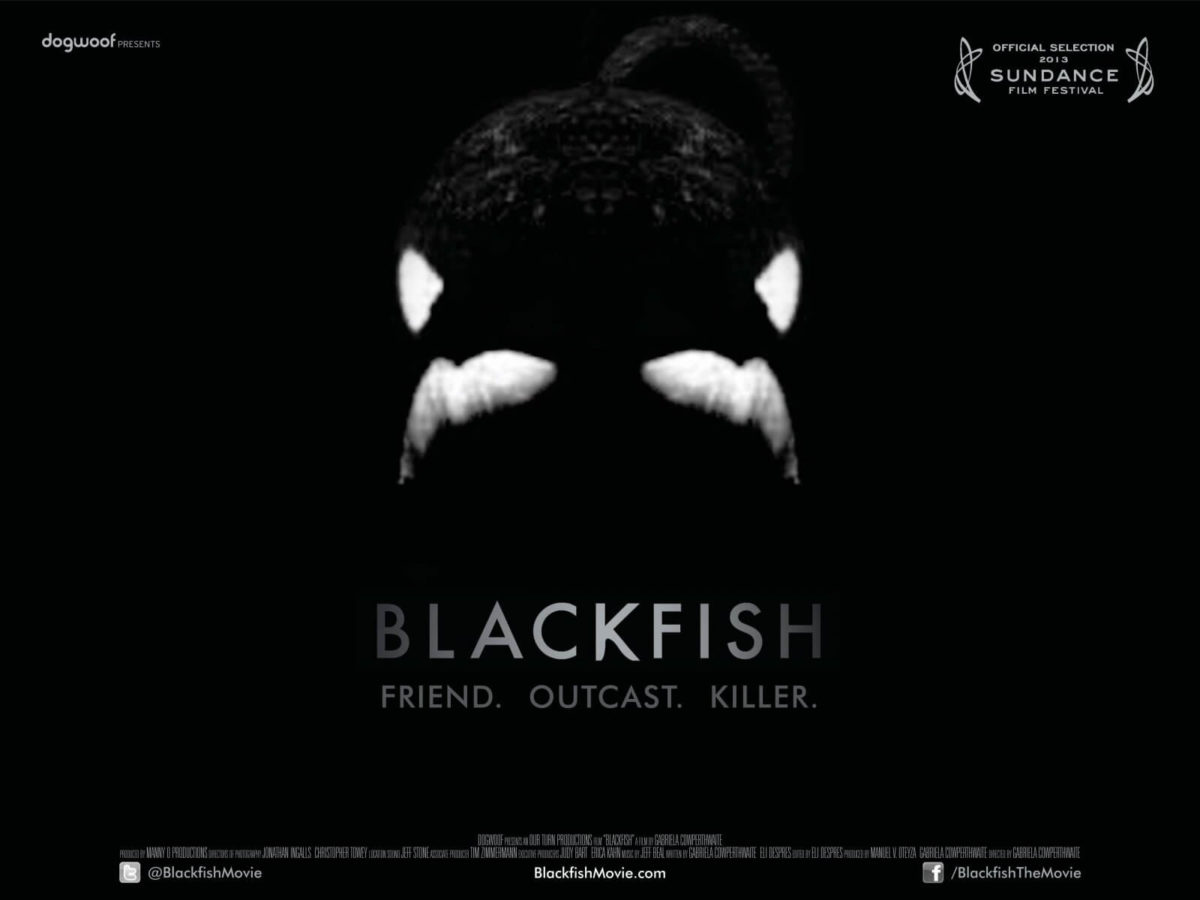 thesis statement about the film blackfish