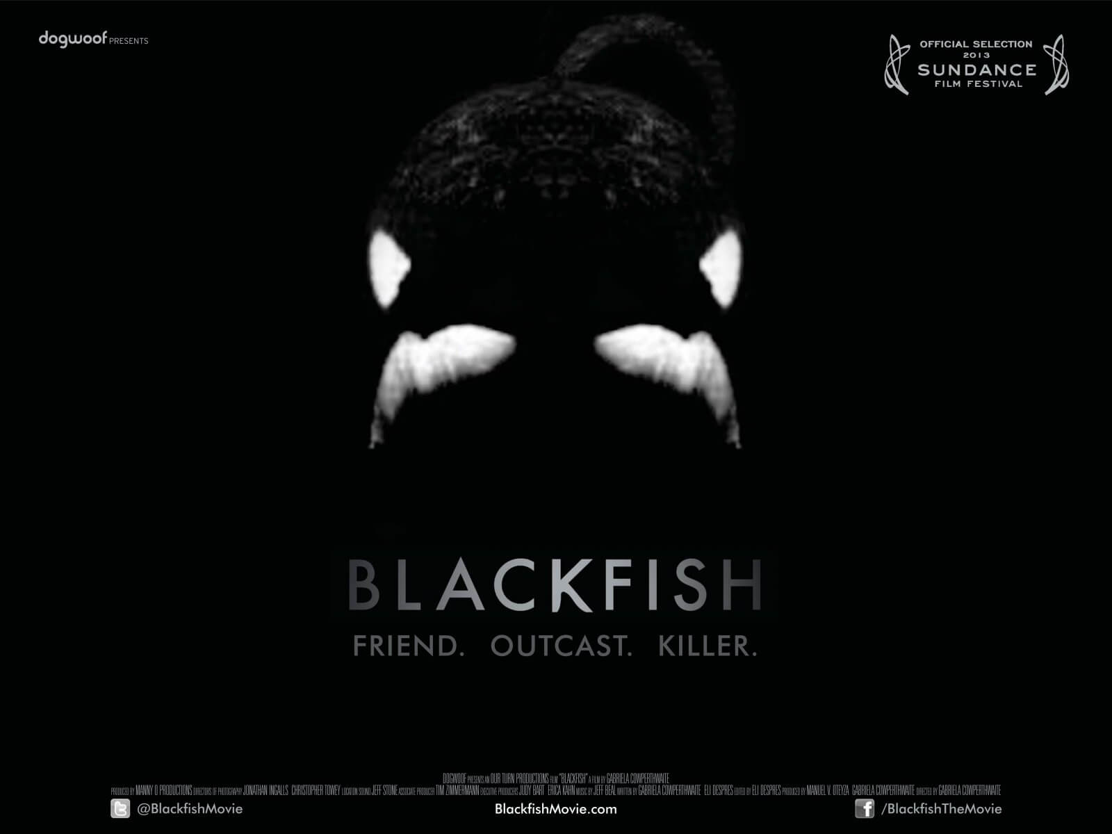 Blackfish Similar Movies • FlixPatrol