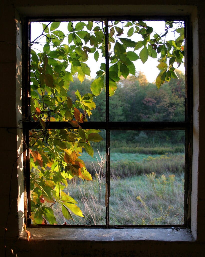 natural light through a window