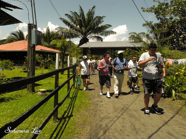 Parasmina, Costa Rica