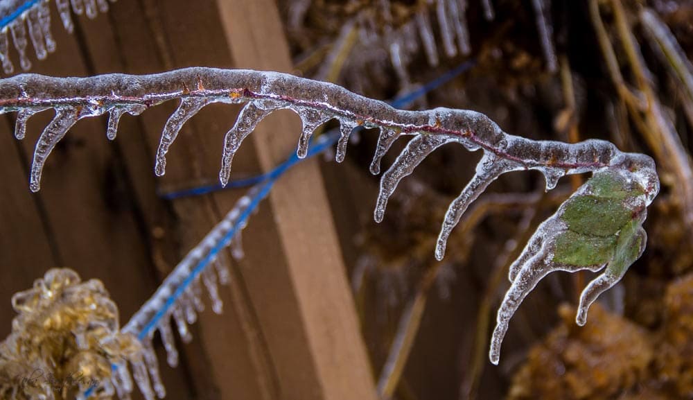 tormenta de hielo toronto 2013