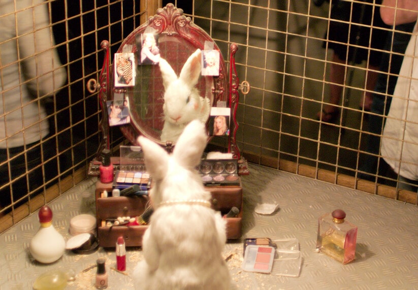 China to End Mandatory Animal Cosmetics Testing – Greener Ideal