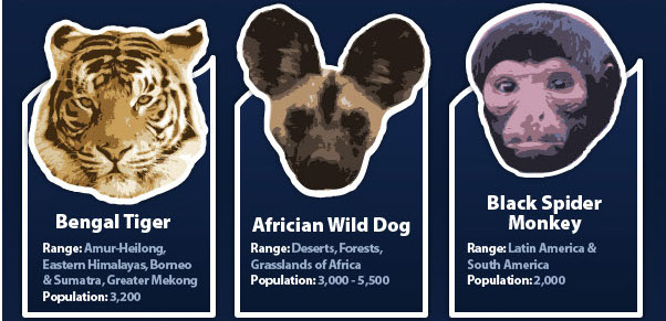 endangered animals infographic banner