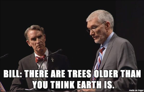 Bill Nye: There are trees older than you think Earth is