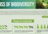 environmental infographic