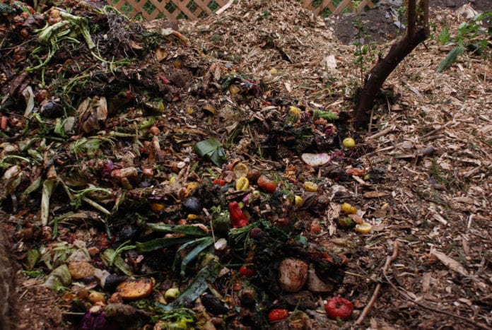 10 Items You Should Never Add To Your Compost Pile | Greener Ideal