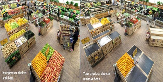 produce choices without bees