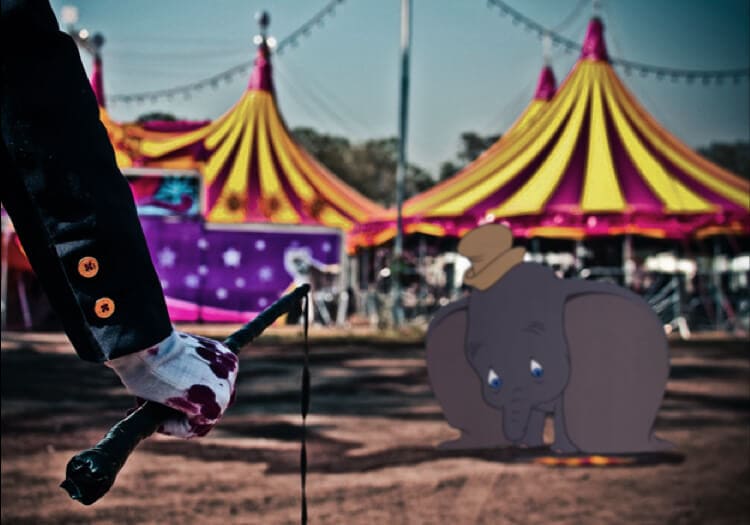 dumbo abused in circus
