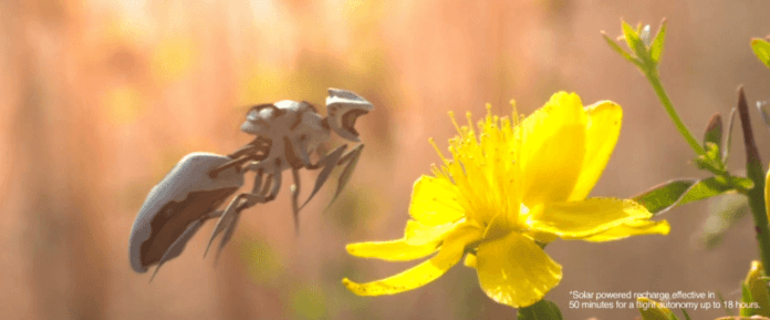 robot bee