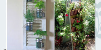 DIY urban gardening