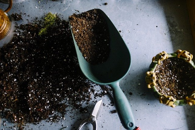 soil preparation - Start Your Own Organic Garden